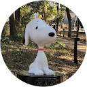 ひつじさん profile picture